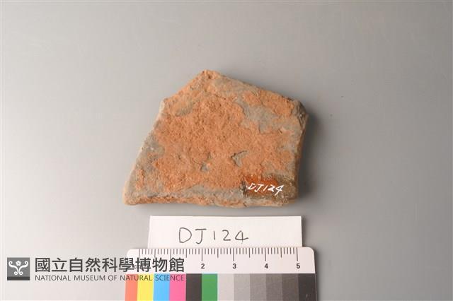 陶片藏品圖，第2張