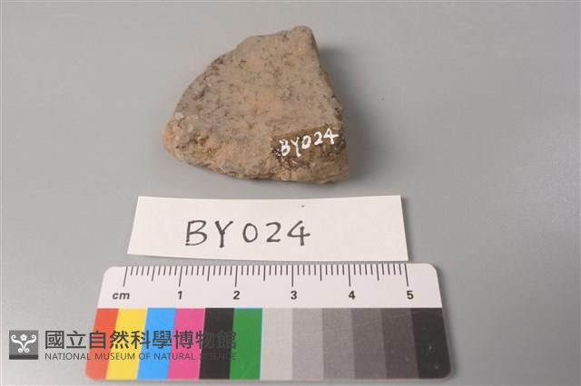 陶片藏品圖，第2張