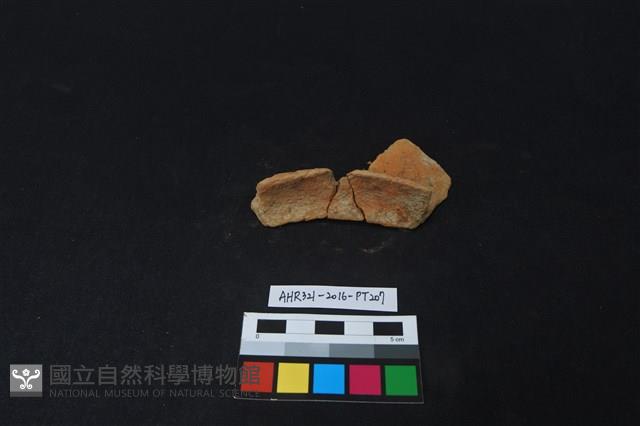 陶片藏品圖，第2張