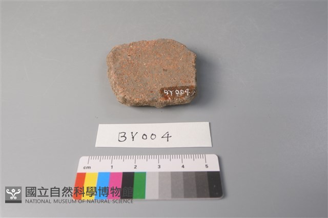 陶片藏品圖，第2張
