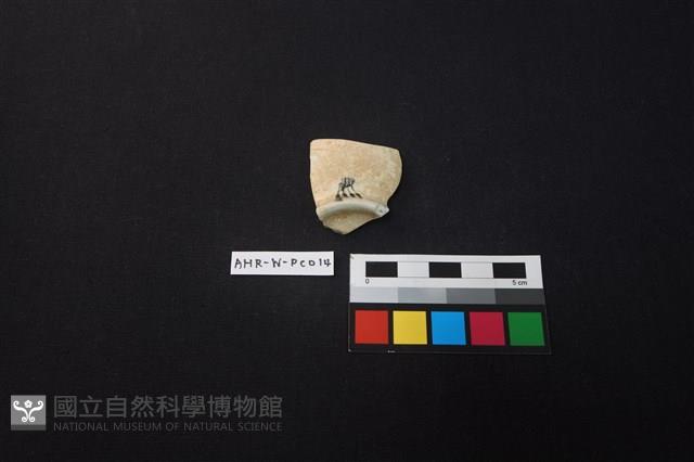 瓷片藏品圖，第2張