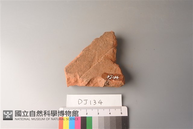 陶片藏品圖，第2張