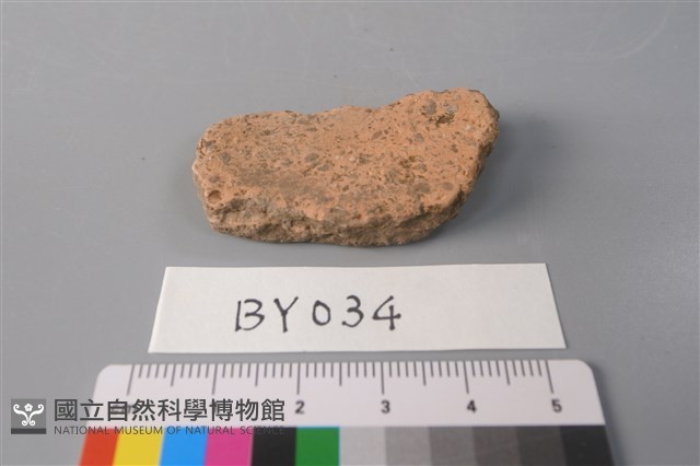 陶片藏品圖，第2張
