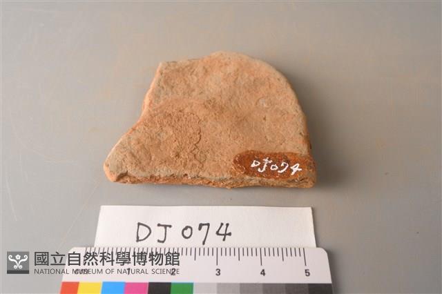 陶片藏品圖，第2張