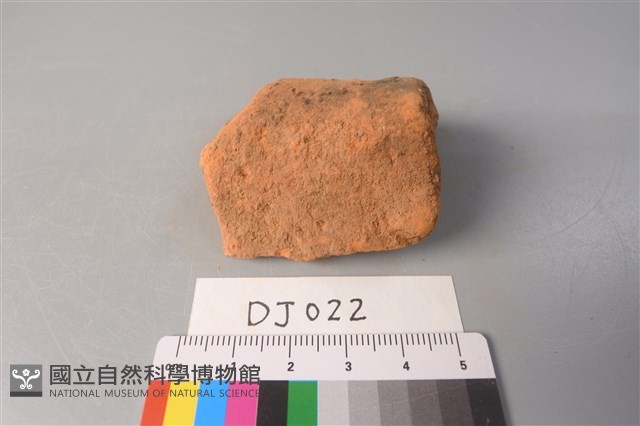 陶片藏品圖，第2張