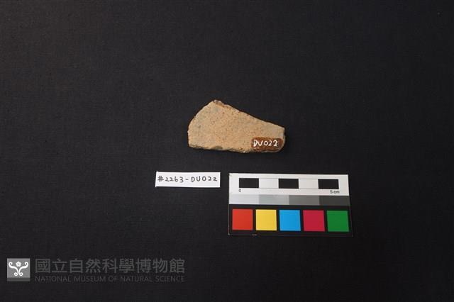 陶片藏品圖，第2張