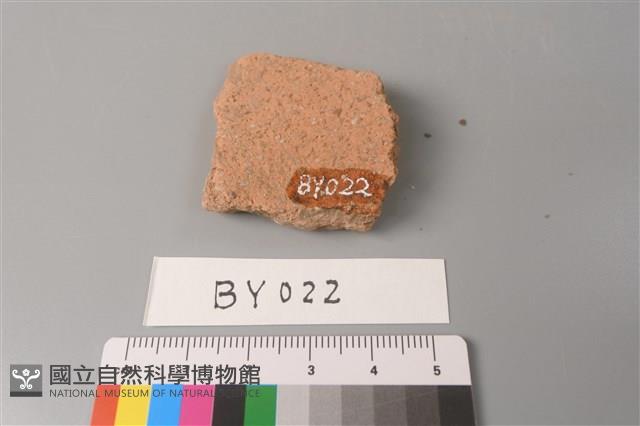 陶片藏品圖，第2張