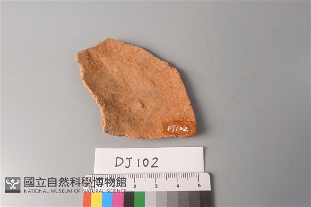 陶片藏品圖，第2張