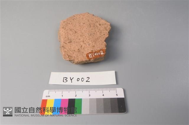 陶片藏品圖，第2張