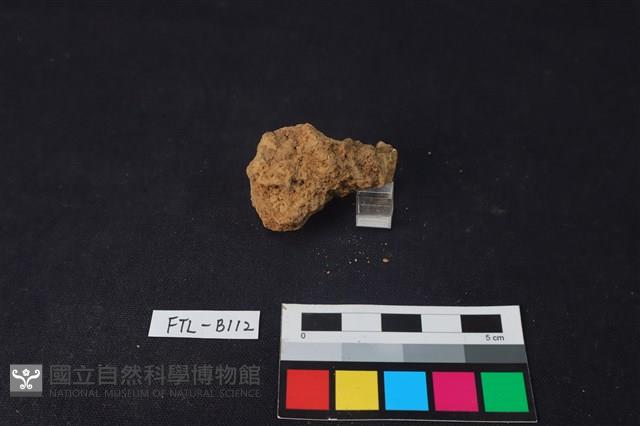 鹿骨藏品圖，第2張