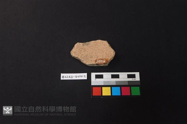 陶片藏品圖，第2張