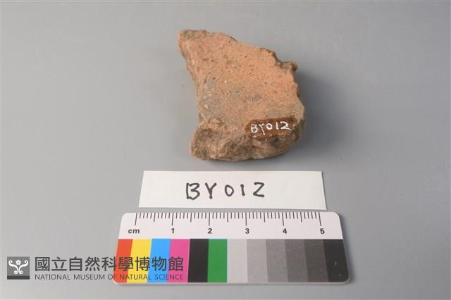 陶片藏品圖，第2張