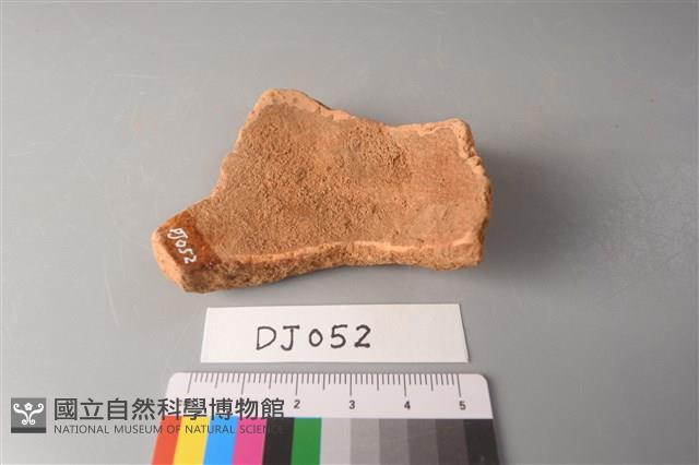 陶片藏品圖，第2張