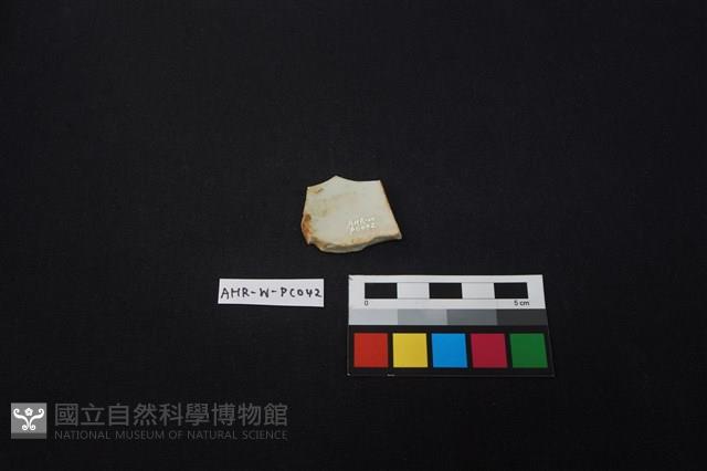 瓷片藏品圖，第2張