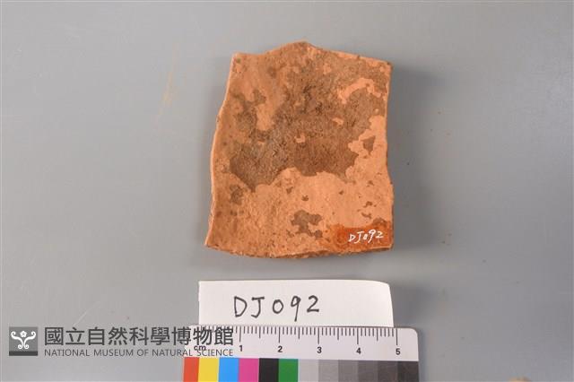 陶片藏品圖，第2張