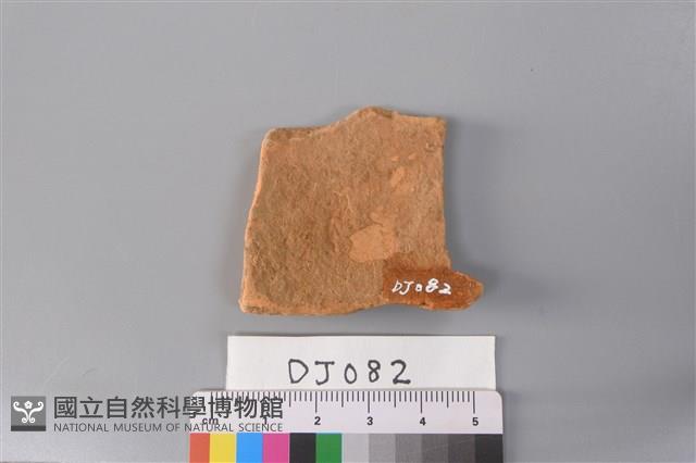 陶片藏品圖，第2張