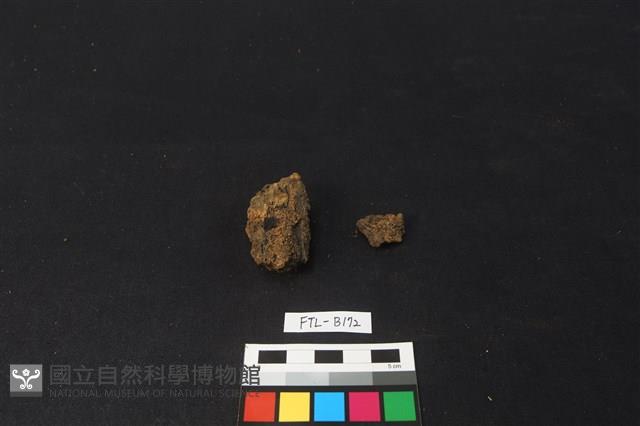 獸骨藏品圖，第2張