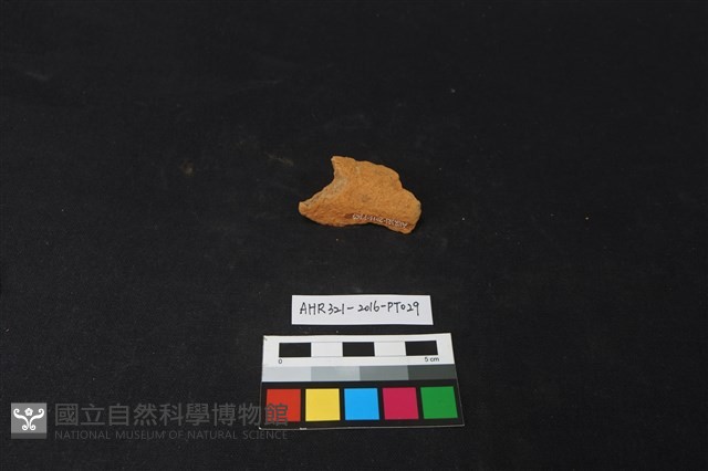 陶片藏品圖，第2張