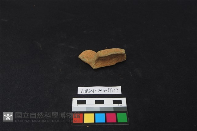 陶片藏品圖，第2張