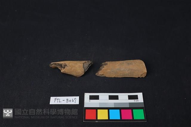 獸骨藏品圖，第2張