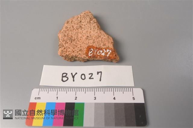 陶片藏品圖，第2張