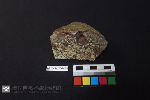 硬陶片藏品圖，第2張