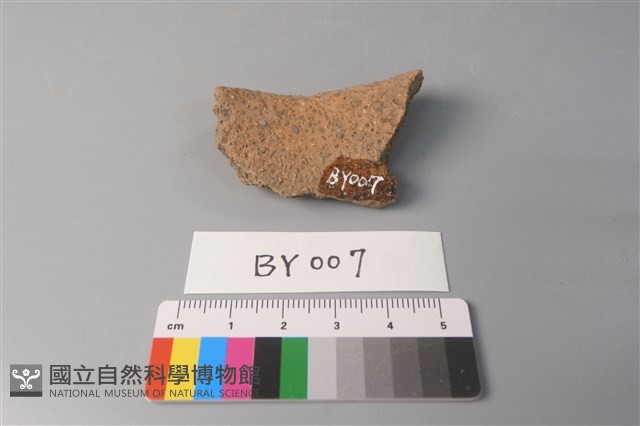 陶片藏品圖，第2張