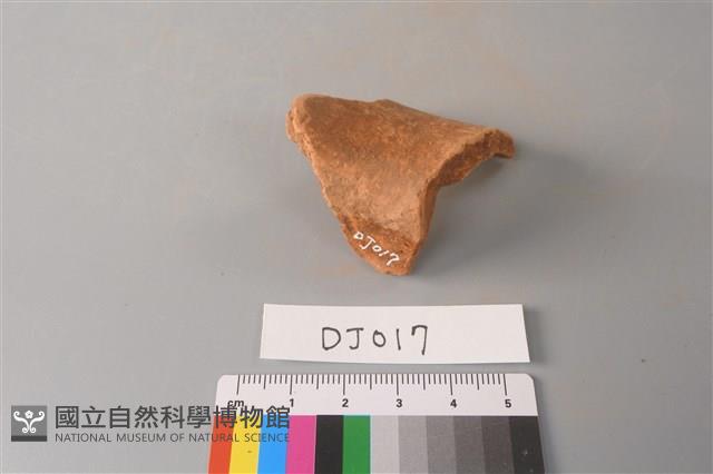 陶片藏品圖，第2張