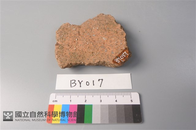 陶片藏品圖，第2張