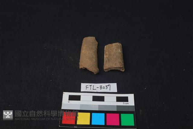 獸骨藏品圖，第2張