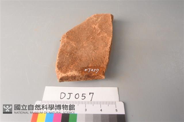 陶片藏品圖，第2張