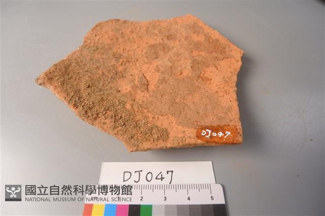 陶片藏品圖，第2張