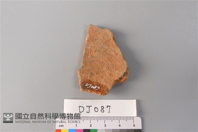 陶片藏品圖，第2張
