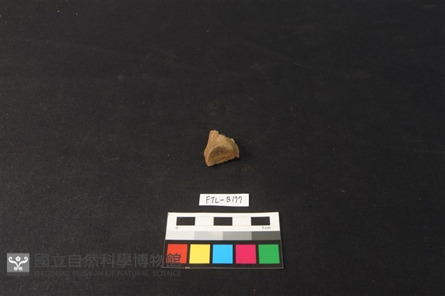 鹿骨藏品圖，第2張