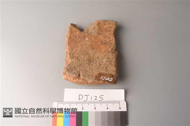 陶片藏品圖，第2張