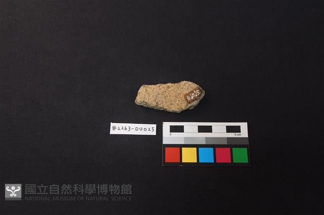 陶片藏品圖，第2張