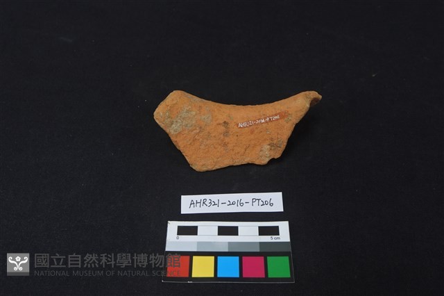 陶片藏品圖，第2張