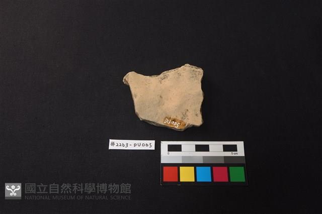 陶片藏品圖，第2張