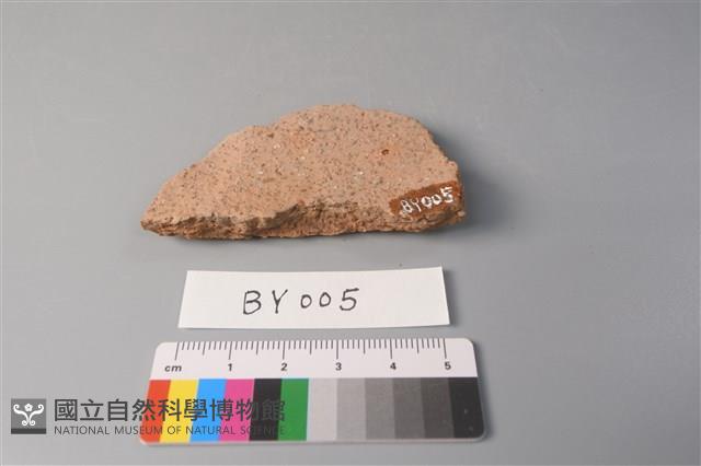 陶片藏品圖，第2張