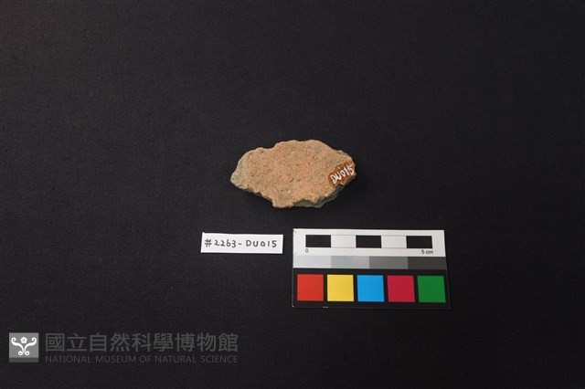 陶片藏品圖，第2張