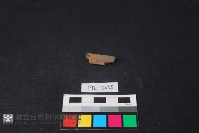 Accession Number:FTL-B055 Collection Image, Figure 2, Total 2 Figures