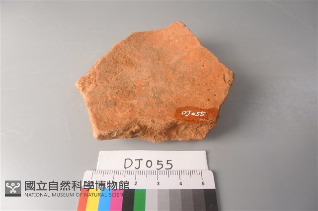 陶片藏品圖，第2張