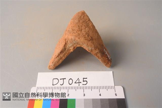 陶片藏品圖，第2張