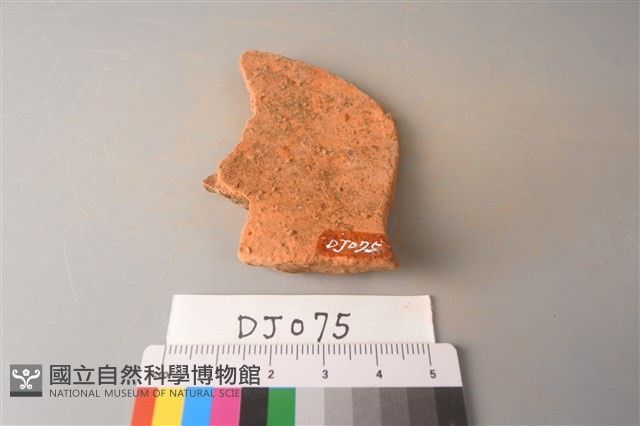 陶片藏品圖，第2張