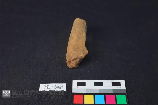 獸骨藏品圖，第2張