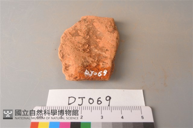 陶片藏品圖，第2張