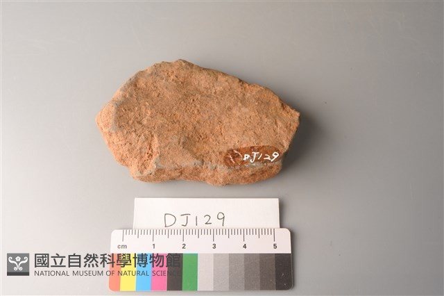 陶片藏品圖，第2張