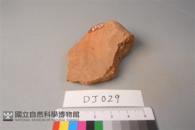 陶片藏品圖，第2張