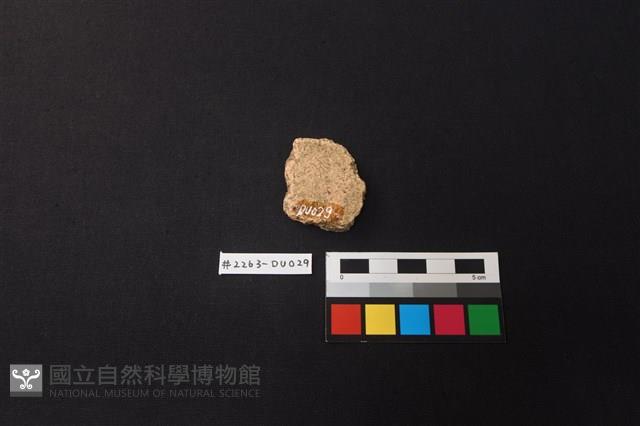 陶片藏品圖，第2張