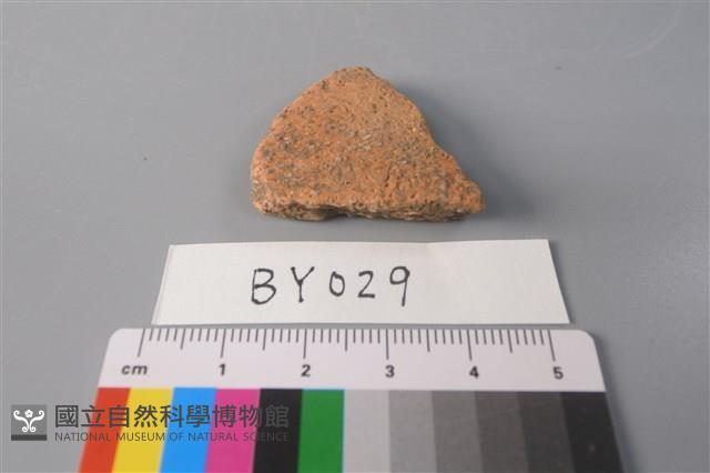 陶片藏品圖，第2張